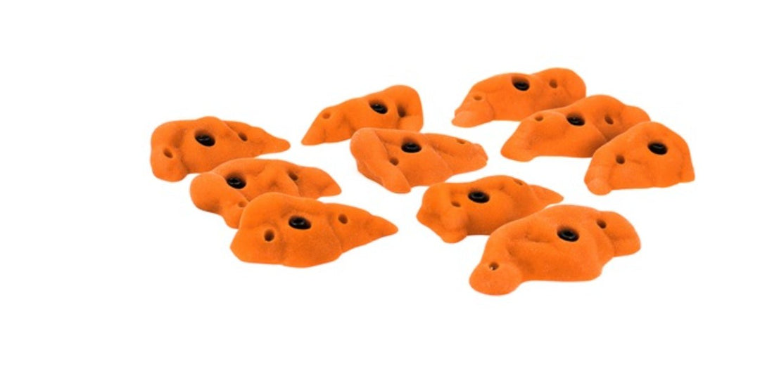 GASTROPODS MD B
