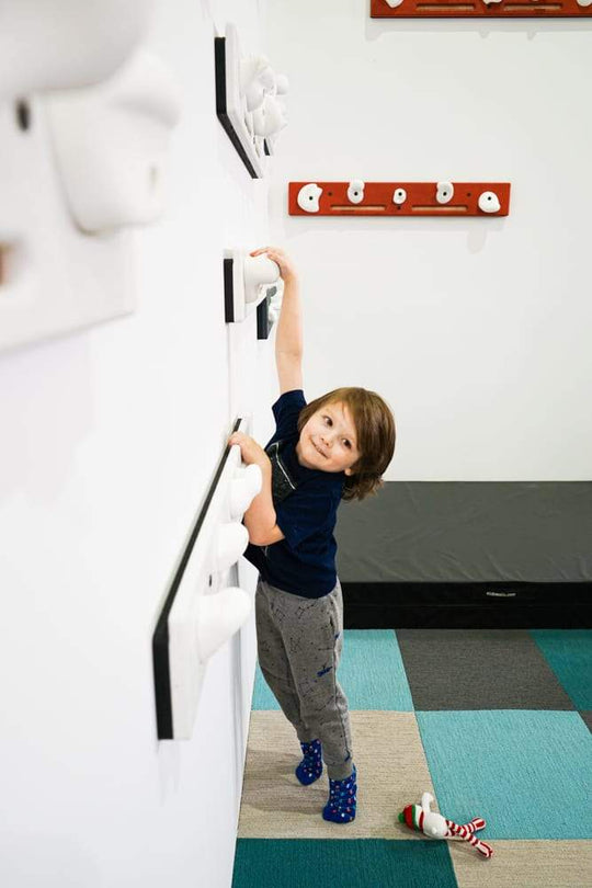 Solo Modular Climbing Panels DIY Panel Eldowalls