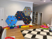 Hex Climbing Panel