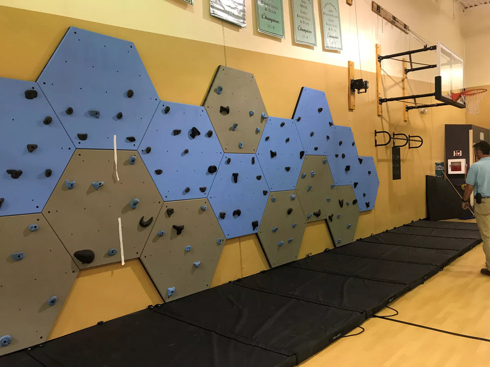 Hex Climbing Panel